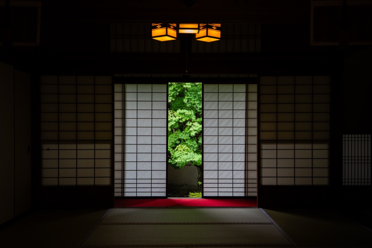 障子の先の青もみじと吊り行灯(雲龍院)