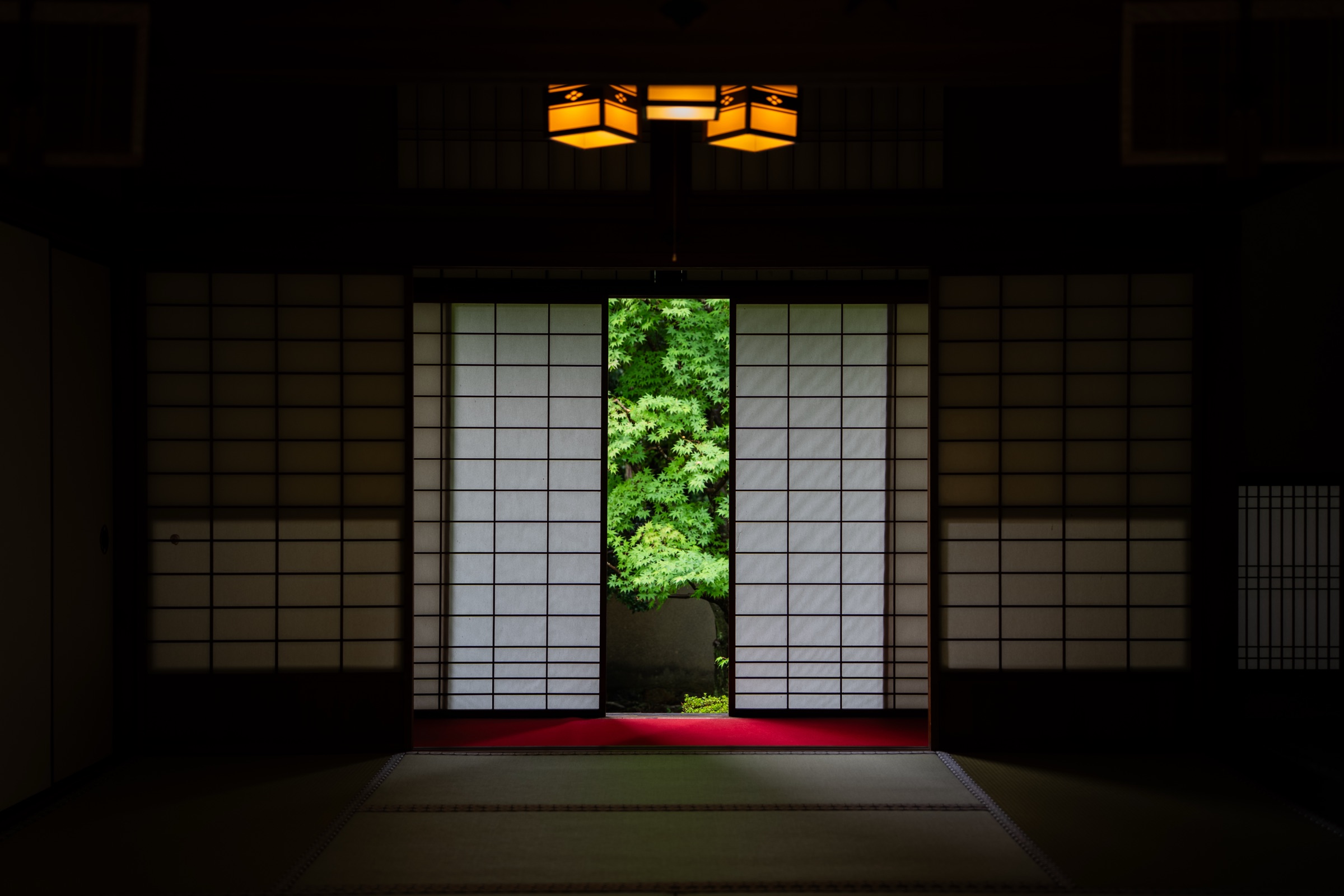 障子の先の青もみじと吊り行灯(雲龍院)